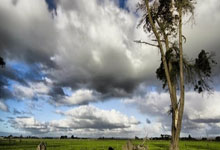 2024欧洲杯西班牙对阵法国,谁能笑到最后?