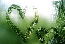 中国男篮世界杯预选赛赛程安排是怎样的?